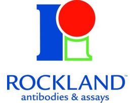 ANTI-MOUSE IG BIOTIN 25 UG