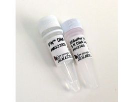 9 DEG NORTH DNA LIGASE, 2,500U