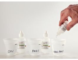 DETERGENTS AND ENVIRONMENT.