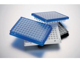 PCR PLATE 96W RT US LP BL PK20