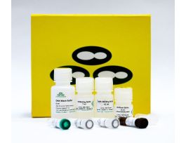 KIT PICO METHYL-SEQ LIBRARY PREP 10PREPS