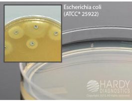 MUELLER HINTON AGAR 15X100MM PLATE PK10