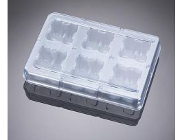 BIOCOAT 6DEEPWELL MULTIPL CS4.