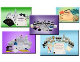 INTRODUCTION TO FORENSICS ANALYSIS.