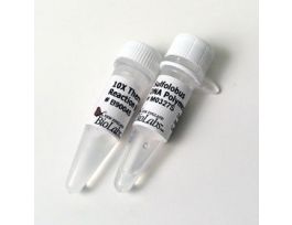 SULFOLOBUS DNA PLM IV 100 UN