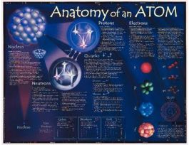 POSTER ANATOMY OF AN ATOM