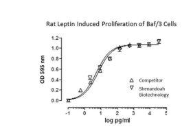 300-14-10MG RAT LEPTIN