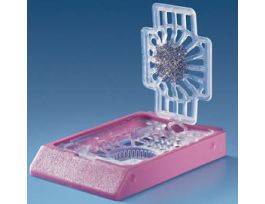 BIOPSY CASSETTES 13X13 CS500