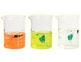 AP BIO 1 - DIFFUSION + OSMOSIS