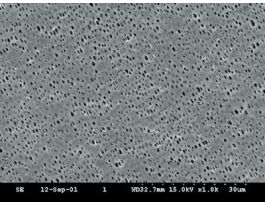 FILTER RC 60 1UM 47MM PK100