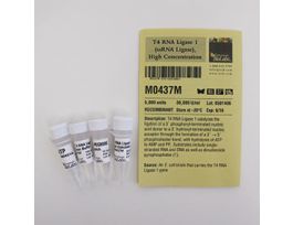 T4 RNA LIGASE 1 (SSRNA LIGASE) M0437M