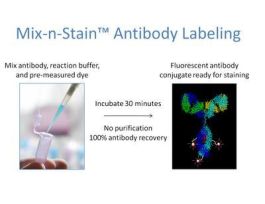 KIT MIX-N-STAIN AB LBL CF543 50-100UG