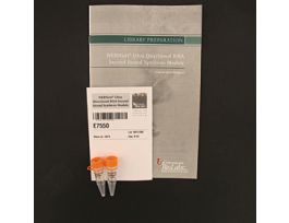 NEBNEXT ULT DRCTNL RNA SEC STRND SYN MOD