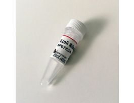 E.COLI RIBOSOME - 1 MG