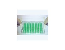 Thermal Cycling Film, Polyolefin, 50um, PCR; 100/Pk