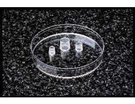 CYLINDER CLONING SMALL PK50