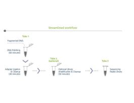 KIT SPARQ DNA LIBRARY PREP 24 REACTIONS