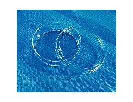 DISH CULT CELLBIND 60MM CS126