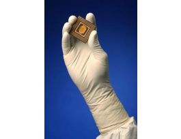 GLOVE CLAS 100 XL NTRL WHT 12IN CS1000