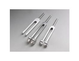 TUNING FORK C256 FIXED WT ALUMINUM ALLOY