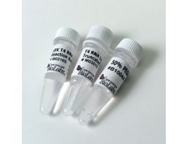 T4 RNA LIGASE 2 TRNCT K227Q 2K