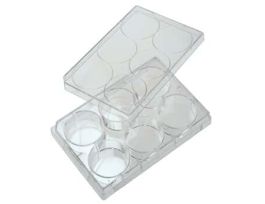 6-Well Treated Culture Plate with Lid; 50/cs