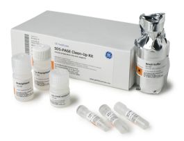 SDS-PAGE CLEAN-UP KIT