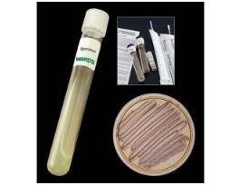 FD ENTEROBACTER CLOACAE W/MEDIA