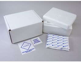 SHIPPER INSULATED EPS 8X6.5X4.5IN S CS12