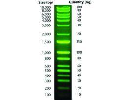 MARKER LOGIC DNA DNAMARK 100LOADS