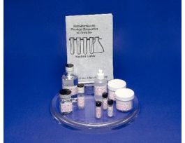 KT INTRO TO PHYSICAL PROPERTIES OF