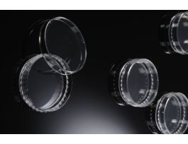 DISH CELL CULTURE EXTERNAL GRIP 60X15 MM