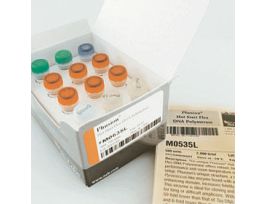 PHUSION HOT START FLEX DNA POL