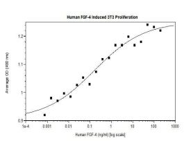 HUMAN FGF-4 (AF) 1MG