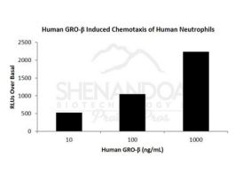 HUMAN GRO-BETA (CXCL2) 1MG