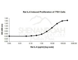 ANIMAL FREE RAT IL-6 1MG
