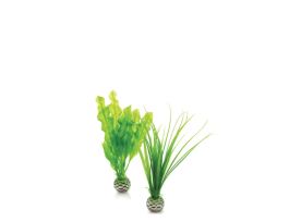 BIORB EASY PLANT SET 2 SMALL GREEN CS