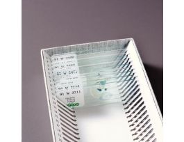 INTRODUCTORY FUNGI SET SET/10