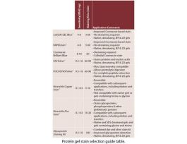 RAPIDSTAIN 1L F/50 MINI GEL/ELP