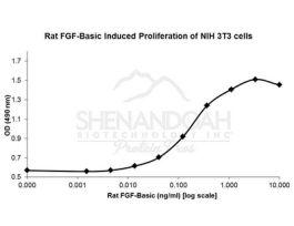 ANIMAL FREE RAT FGF BASIC (FGF-2)50UG