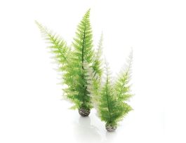 BIORB AQUATIC WINTER FERN SET 2 PK
