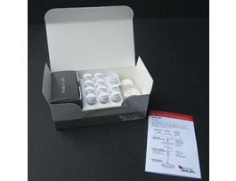 Q5 SITE-DIRECTED MUTAGENESIS KT