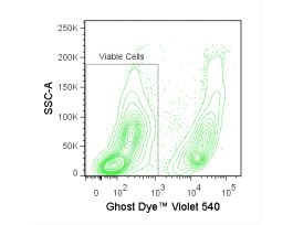 GHOST DYE VIOLET 540 13-0879-T100