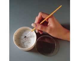 CRYOLIZER-ANESTHETIZER