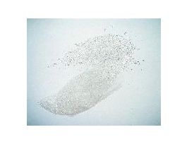 GLASS BEADS 4MM 1LB CS4