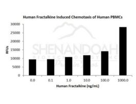 HUMAN FRACTALKINE (CX3CL1) 5UG
