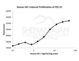 ANIMAL FREE HUMAN IGF-I 20UG