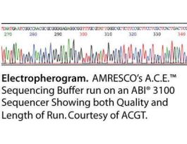 BUFFER SEQUENCING A.C.E 10X CONC 1L