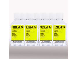 IN1X PBS PH 7.4, 10X500MLIN