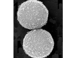 SERAMAG MAGNETIC OLIDO 1UM 1ML